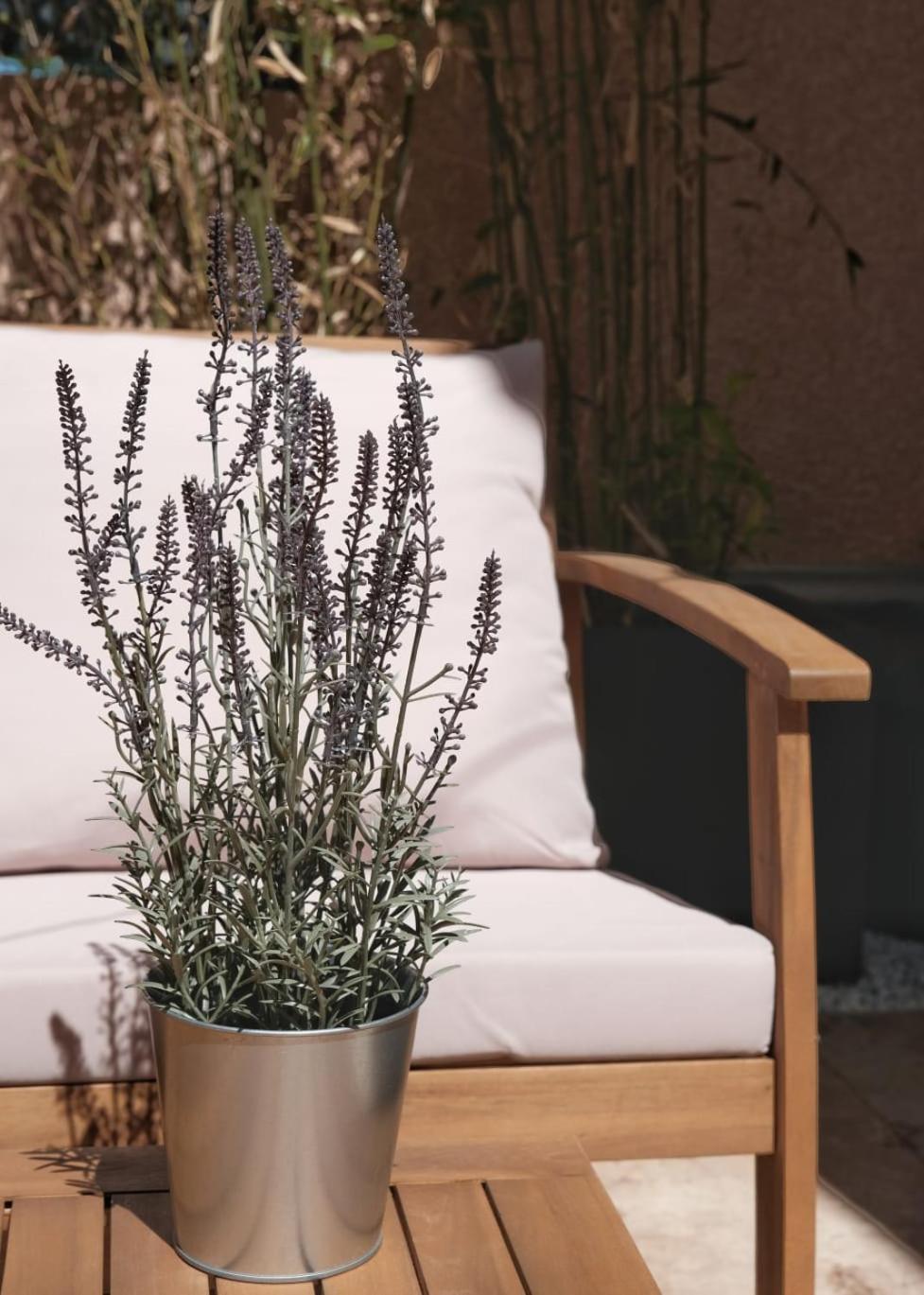 Studio Renove Avec Belle Terrasse Aix-en-Provence Dış mekan fotoğraf